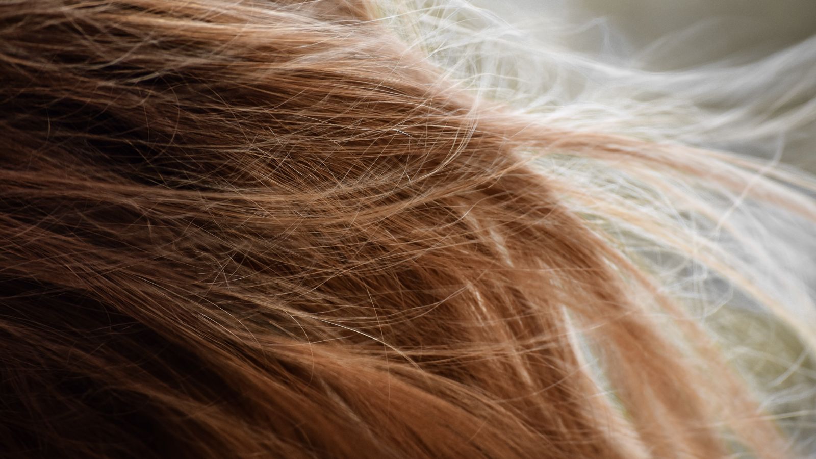 خواص روغن سبوس برای ترمیم مو و پیشگیری از موخوره