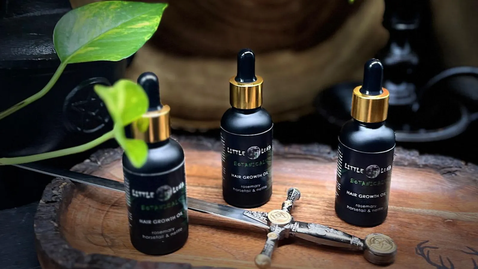 فواید گیاه دم اسبی برای مو