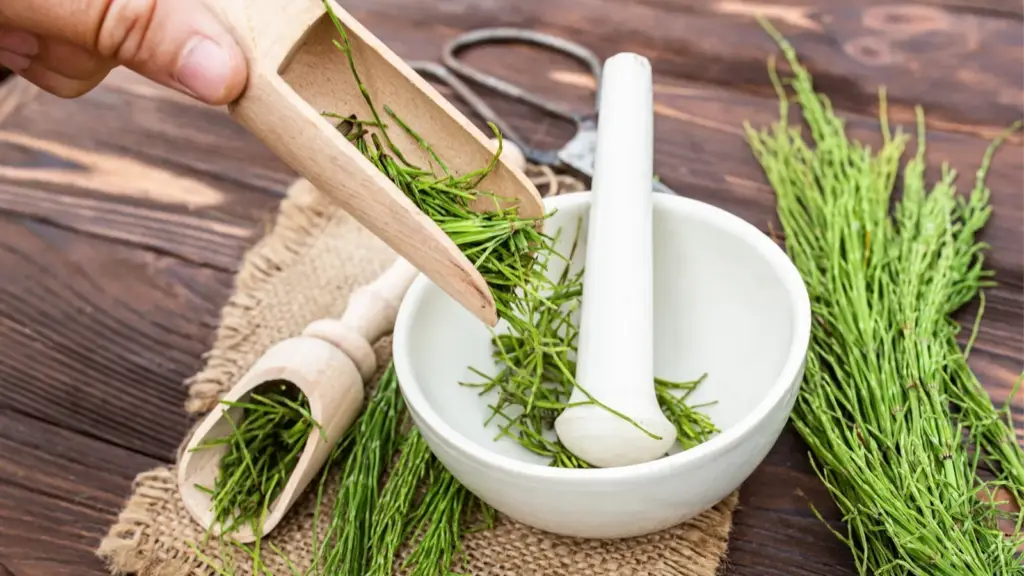 گیاه دم اسبی برای رشد مو