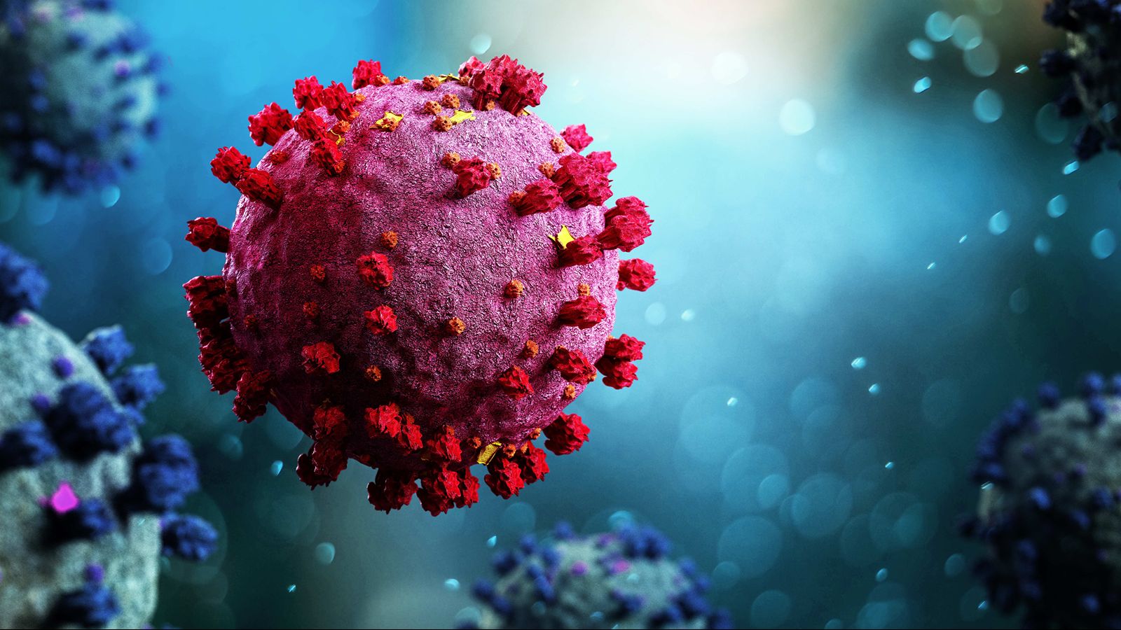 مبارزه با عفونت‌های باکتریایی و ویروسی