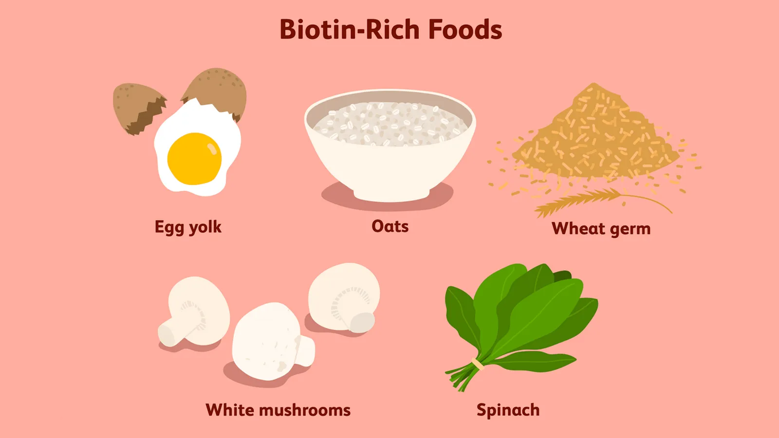 آیا پیاز مو از بین میرود