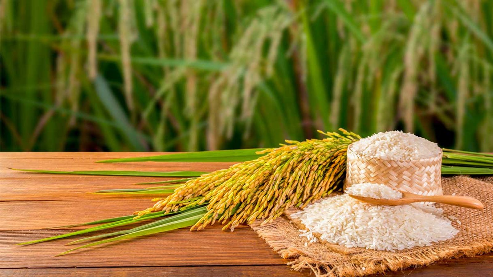 برنج باسماتی پاکستانی چیست 