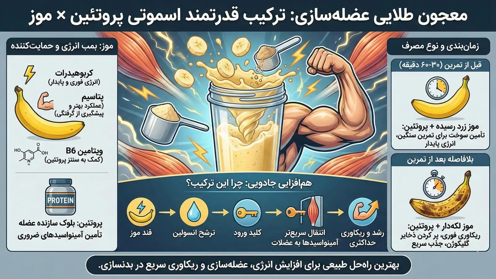 مقایسه موز با سایر مکملها و میانوعدههای ورزشی