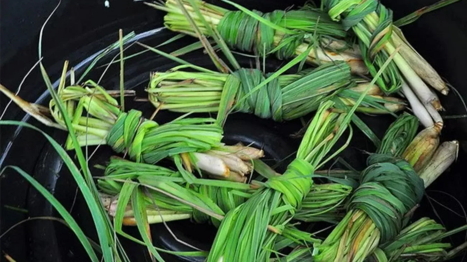 خواص و کاربردهای طب سنتی اذخر