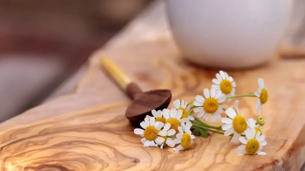 چه کسانی نباید بابونه بخورند؟ آگاهی از ۱۱ مورد منع مصرف بابونه