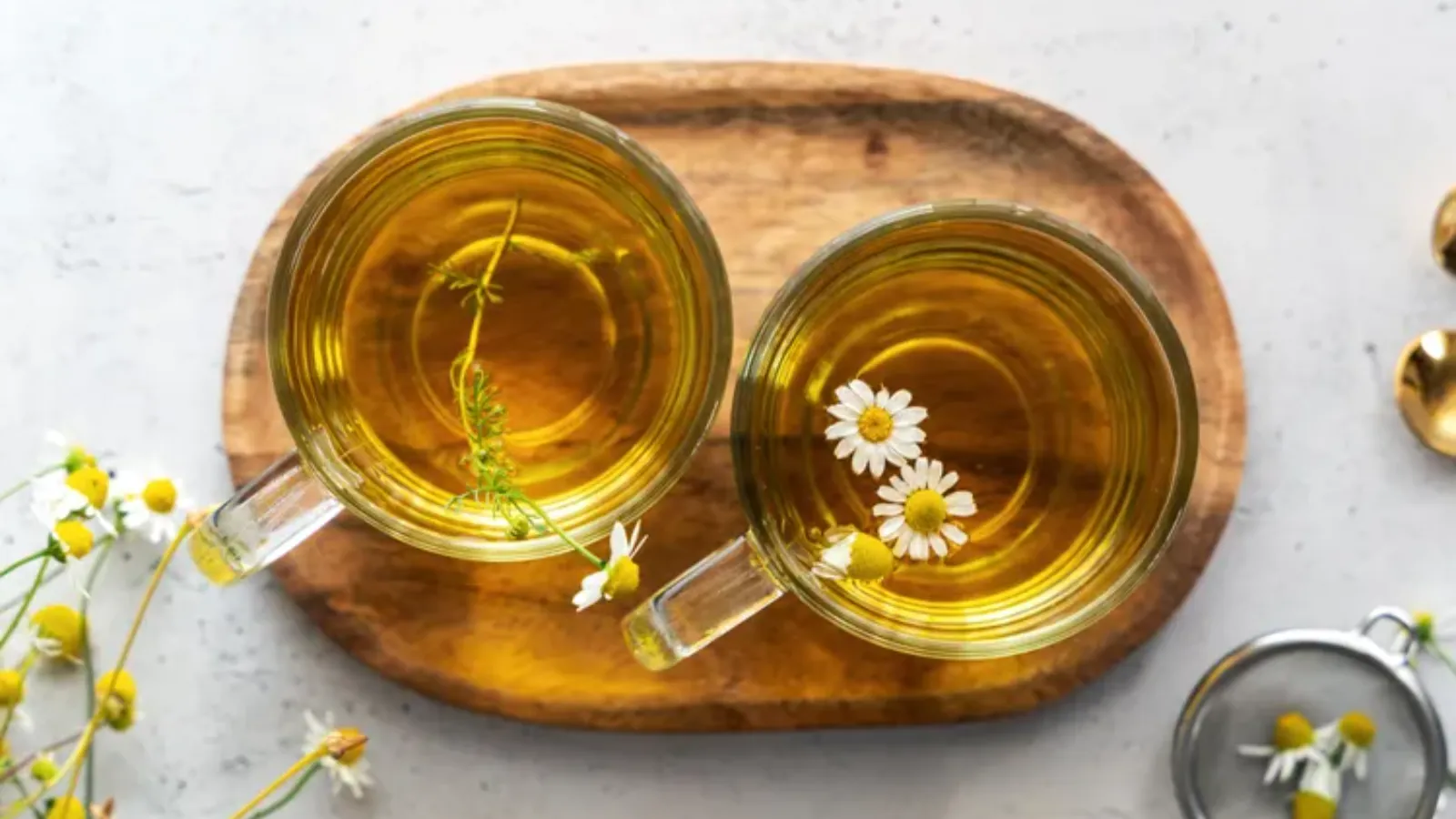 چه کسانی نباید بابونه بخورند؟ آگاهی از ۱۱ مورد منع مصرف بابونه: جمع بندی