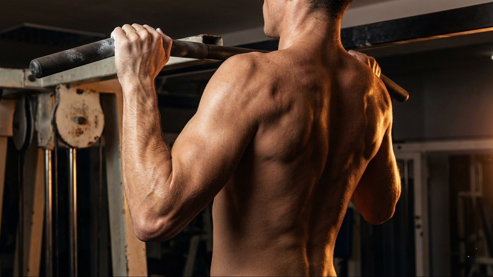 تفاوت در آمادگی جسمانی تکواندو یا ژیمناستیک