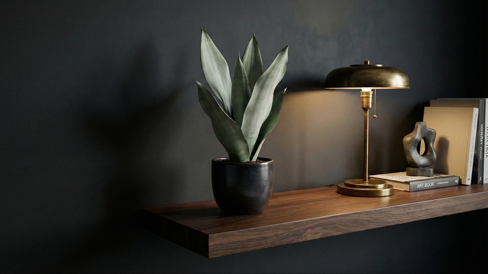 سانسوریا مهتابی