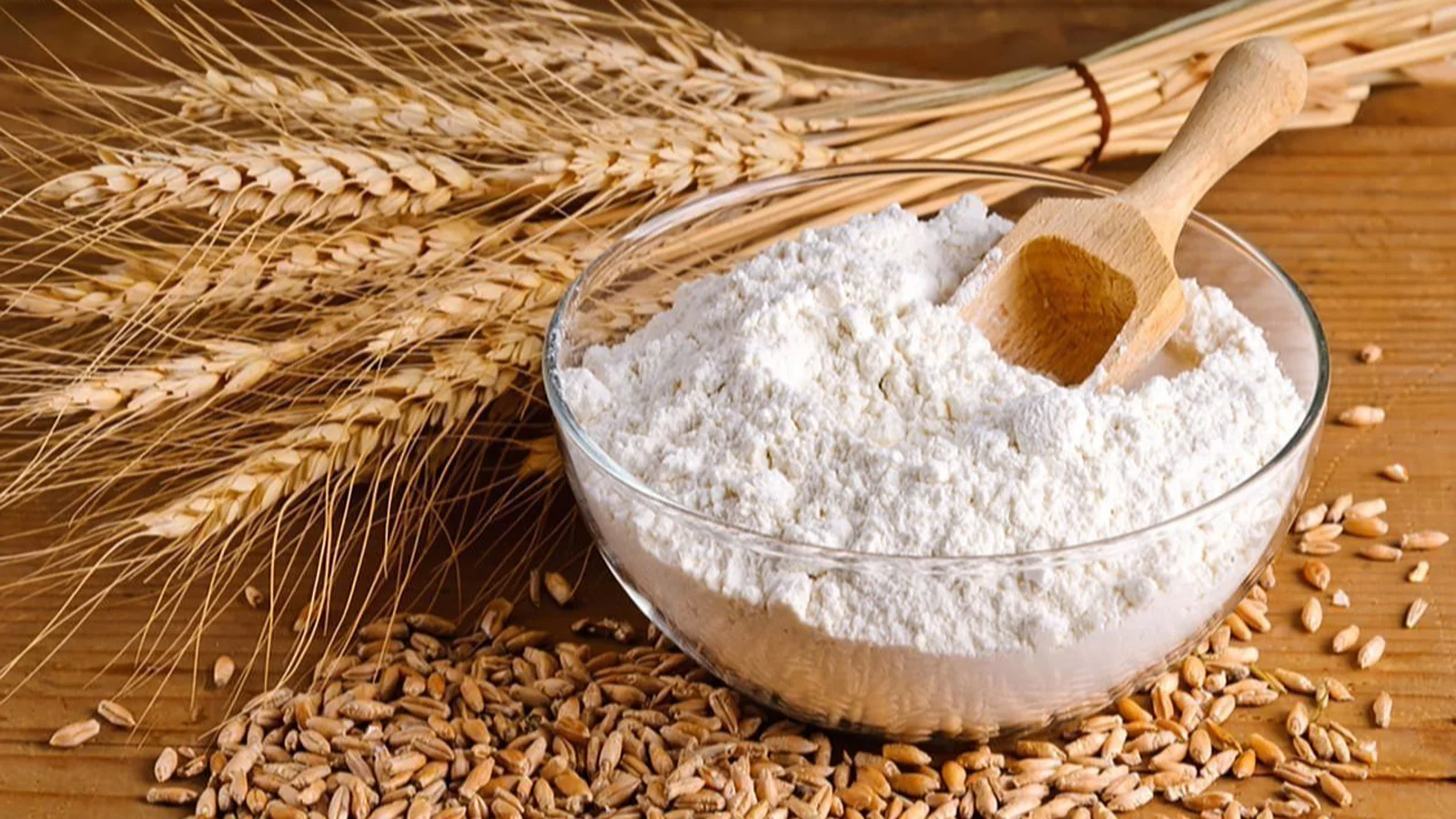 پودر جوانه گندم و چاقی