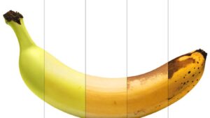 آیا موز سیاه شده ضرر دارد؟