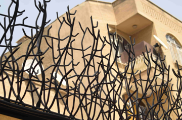 حفاظ شاخ گوزنی مشهد