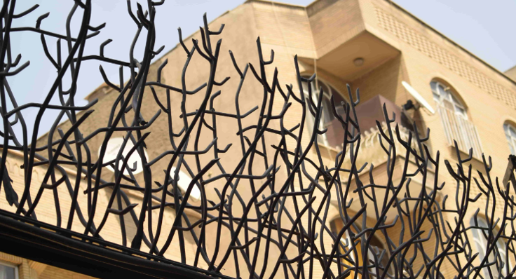 بهترین حفاظ شاخ گوزنی 