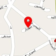 دکتر مصطفی خرمشاهی