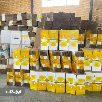 کارتن سازی حکیم مهر پارسیان