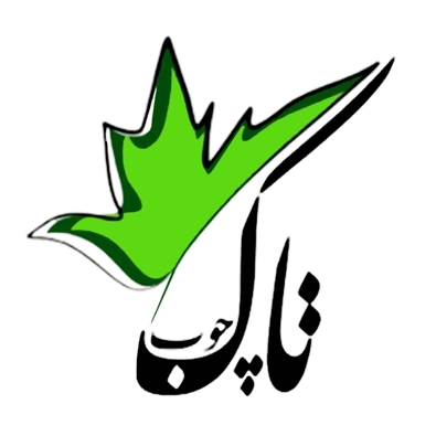 لوگوی آموزشگاه نجاری بانوان تاک چوب