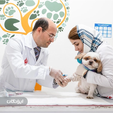 آزمایشگاه دامپزشکی لابرا