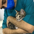 دامپزشکی یونا