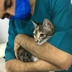 دامپزشکی یونا