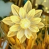 فروشگاه کالای برق سلایت
