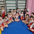 باشگاه ژیمناستیک سپیدار