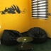 باشگاه ورزشی شادی