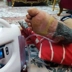 درمانگر زخم بهروز طباطبائی