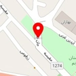 موسسه مترجمان برتر پدیدار