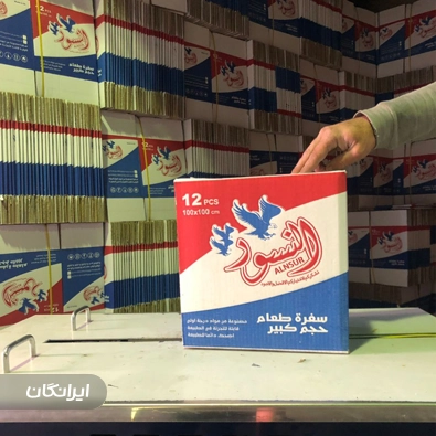 کارتن سازی خاتون