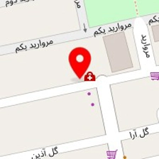 دکتر علی ضیائی 