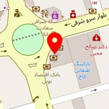 دکتر پریسا تیموری