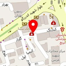 دکتر مانوشا امیری