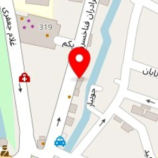 دکتر محمد گل بیدی