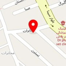 دبستان علوی ۲