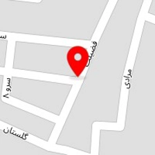 تتو سامی پاکدشت