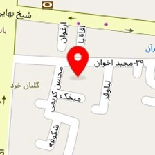 قالیشویی ارم