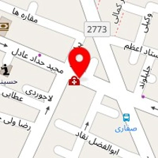 سالن زیبایی عسل
