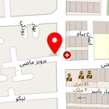 دکتر مجتبی حسینی