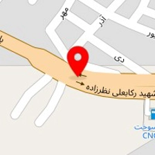 قالیشویی نگین