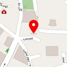 قالیشویی زمرد