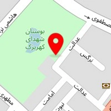 قالیشویی گل گله