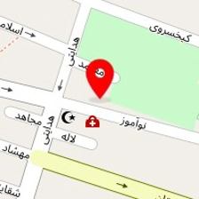 قالیشویی گل ابریشم