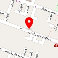 قالیشویی نارون