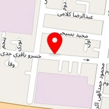 قالیشویی معین