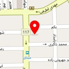 قالیشویی پناه