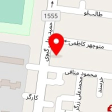 قالیشویی آریا