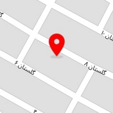 قالیشویی امیر
