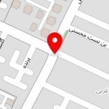 قالیشویی گل نگار 