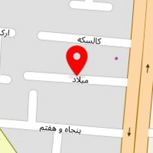 قالیشویی سیمرغ