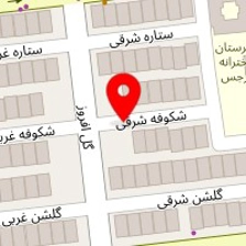 قالیشویی سران