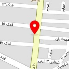 قالیشویی تابان